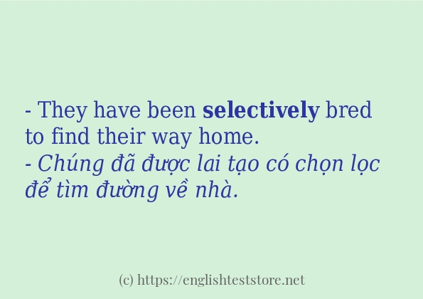 selectively cách dùng và ví dụ trong câu
