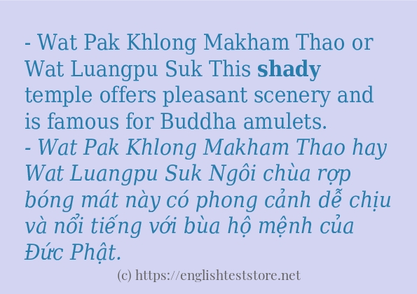 shady ví dụ cách dùng trong câu