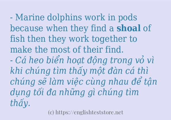 shoal các cách dùng và câu ví dụ