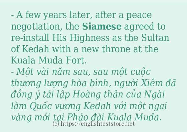 siamese có bao nhiêu cách sử dụng?