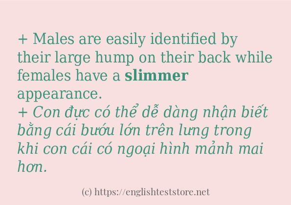 slimmer sử dụng thực tế trong câu