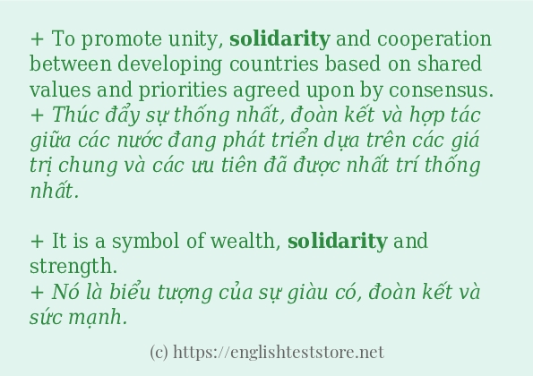 solidarity câu ví dụ và cách dùng