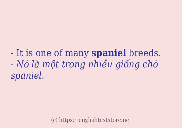 spaniel cách dùng và ví dụ trong câu