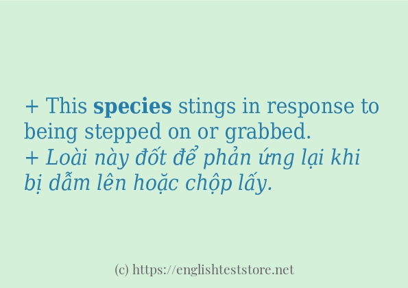 species cách dùng và ví dụ trong câu