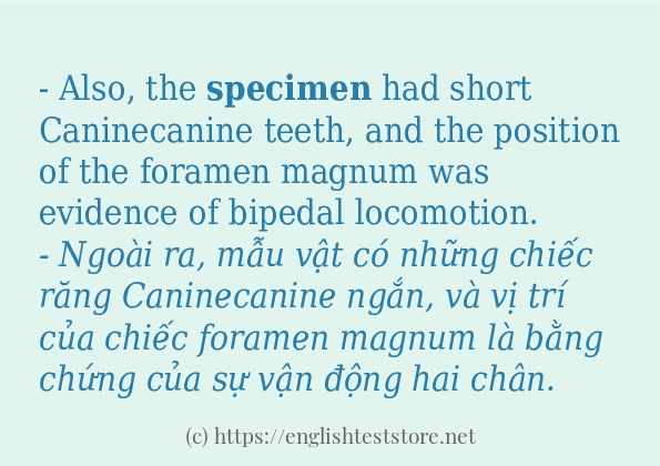 specimen cách dùng và ví dụ trong câu