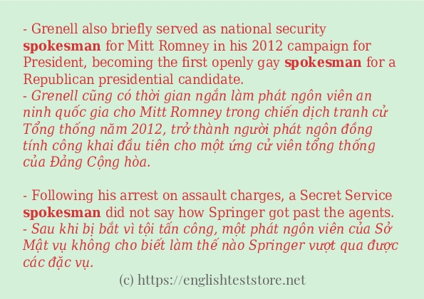 spokesman câu ví dụ và cách sử dụng