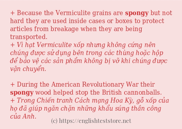 spongy cách sử dụng trong câu và ví dụ spongy cách sử dụng trong câu và ví dụ