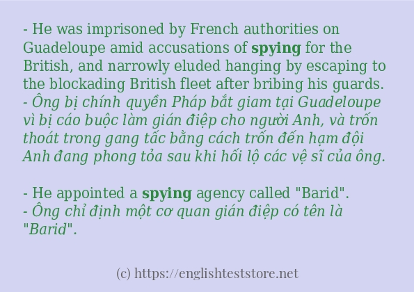 spying áp dụng trong câu và ví dụ