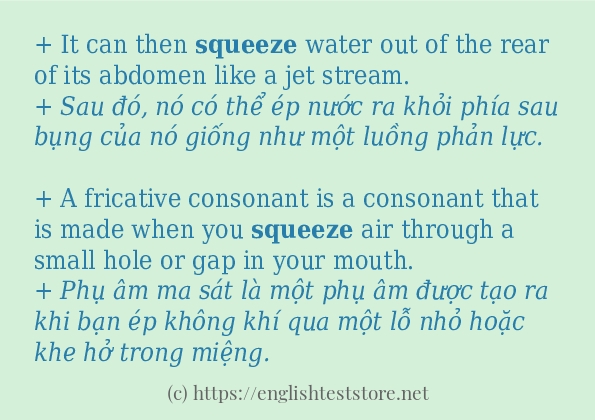 squeeze cách dùng và câu ví dụ