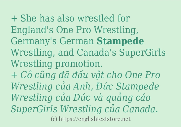 stampede sử dụng như thế nào và câu ví dụ