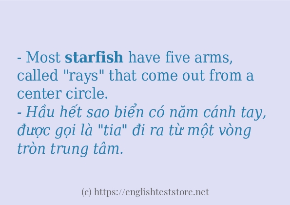 starfish cách dùng trong câu và ví dụ starfish cách dùng trong câu và ví dụ