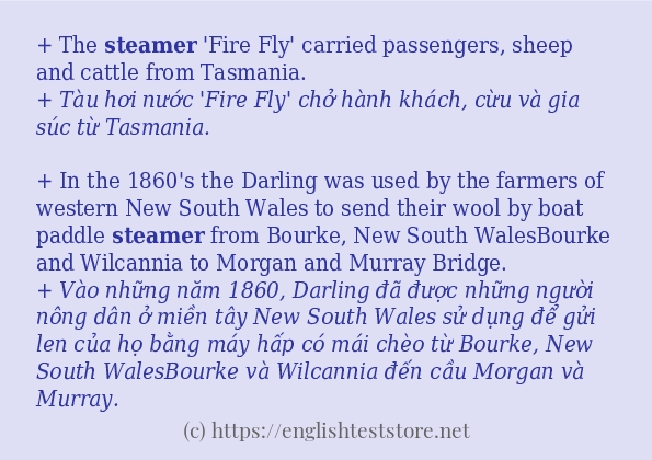 steamer ví dụ cách dùng trong câu