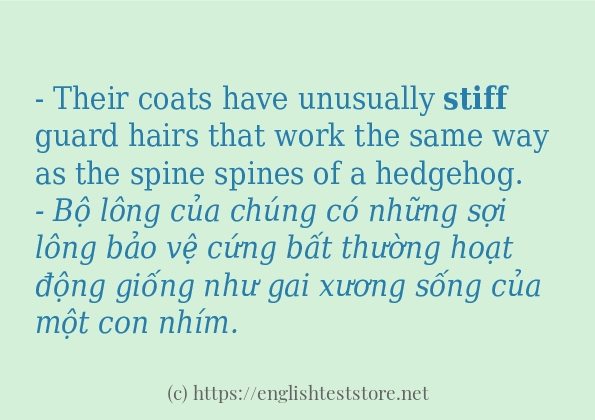 stiff dùng như thế nào? stiff dùng như thế nào?