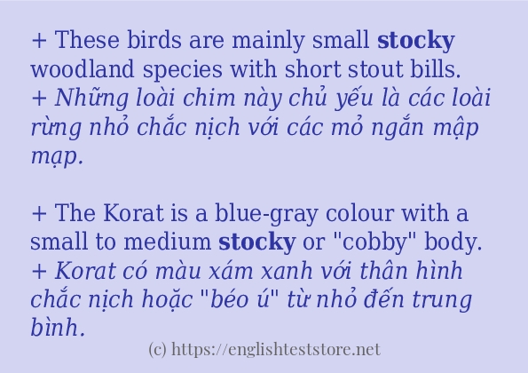 stocky áp dụng trong câu và ví dụ stocky áp dụng trong câu và ví dụ