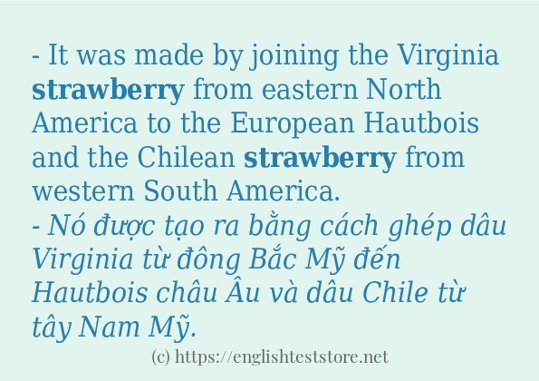 strawberry có bao nhiêu cách sử dụng?