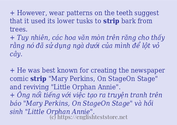 strip có bao nhiêu cách sử dụng?
