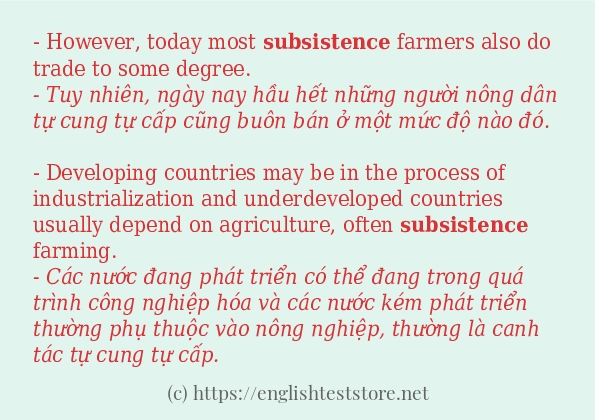 subsistence các cách dùng và câu ví dụ