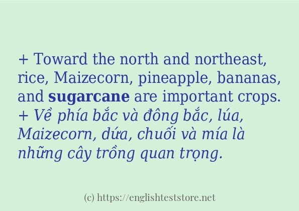 sugarcane câu ví dụ và cách dùng
