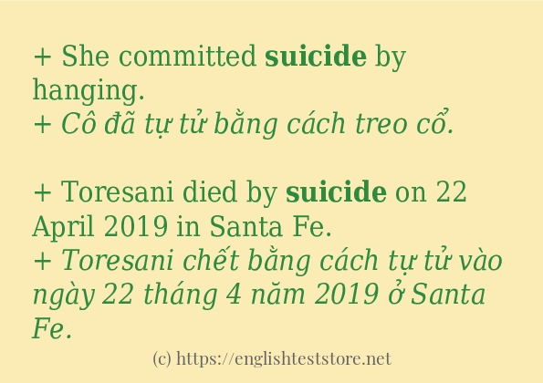 suicide cách dùng và câu ví dụ suicide cách dùng và câu ví dụ