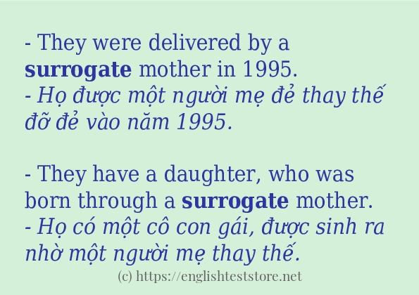 surrogate ví dụ và cách sử dụng trong câu surrogate ví dụ và cách sử dụng trong câu