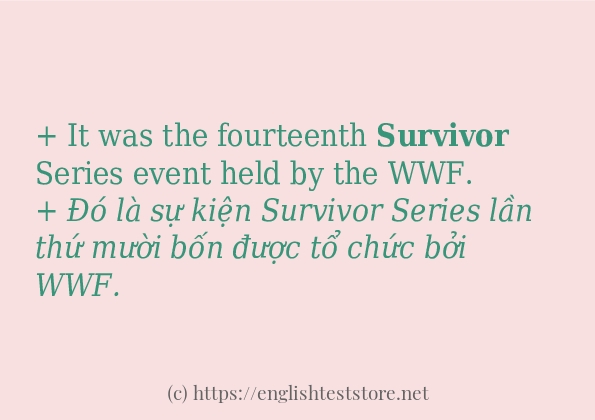 survivor có bao nhiêu cách dùng?