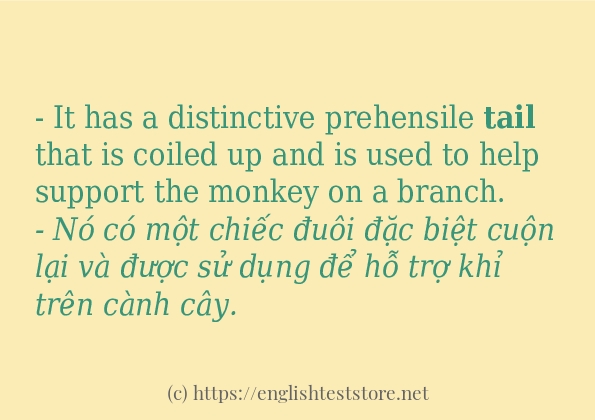 tail cách dùng trong câu và ví dụ