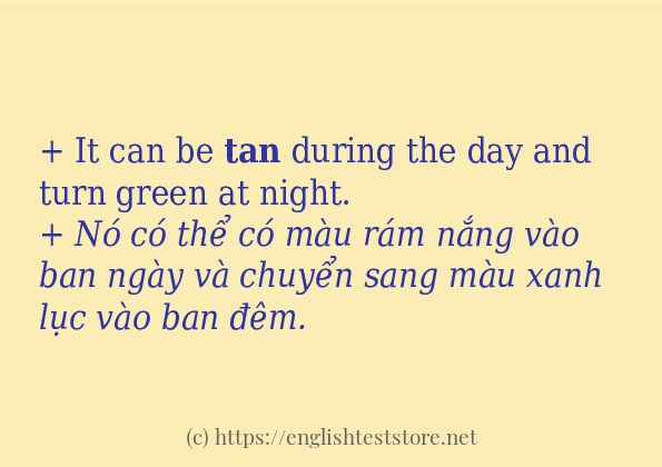 tan cách dùng và câu ví dụ