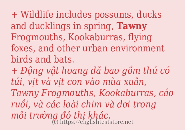 tawny sử dụng thực tế trong câu