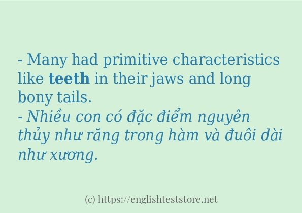 teeth các cách dùng và câu ví dụ