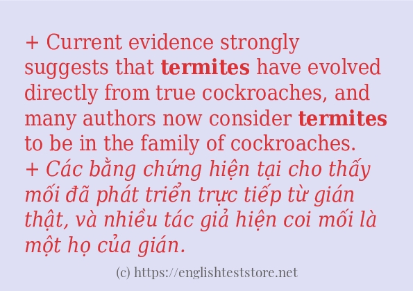 termites cách dùng trong câu và ví dụ