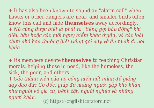 themselves cách sử dụng và câu ví dụ