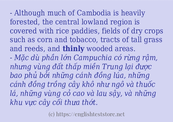 thinly cách sử dụng và câu ví dụ