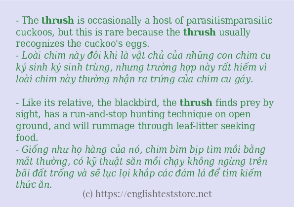 thrush có bao nhiêu cách dùng?