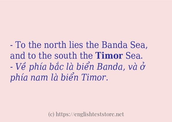 timor sử dụng thực tế trong câu