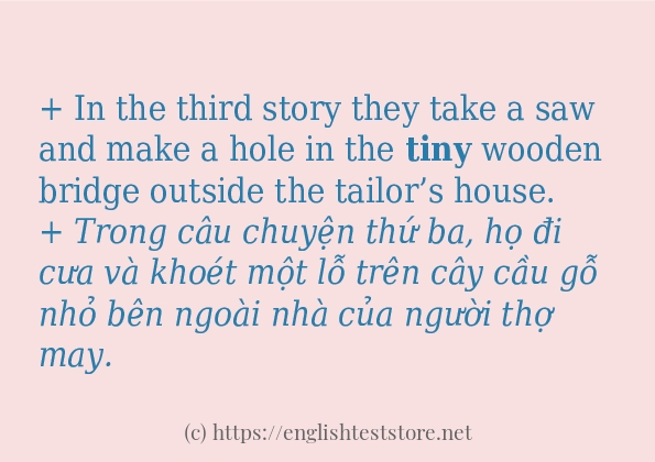 tiny có bao nhiêu cách sử dụng?