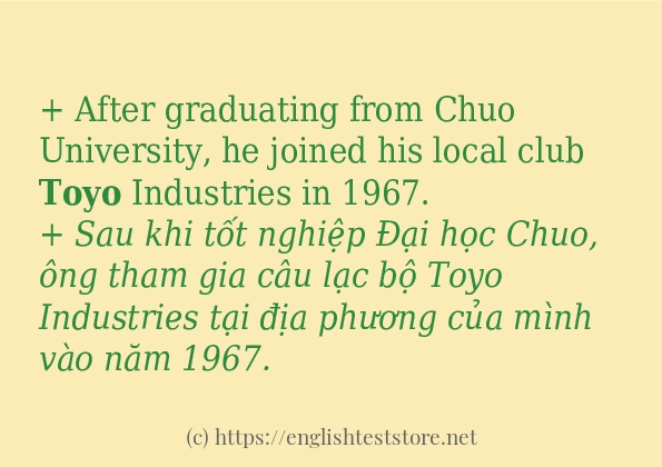 toyo cách sử dụng trong câu và ví dụ