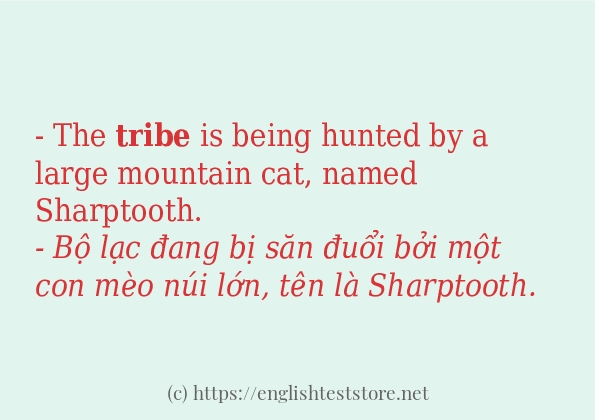 tribe cách sử dụng trong câu và ví dụ