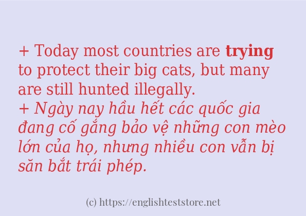 trying có bao nhiêu cách dùng?
