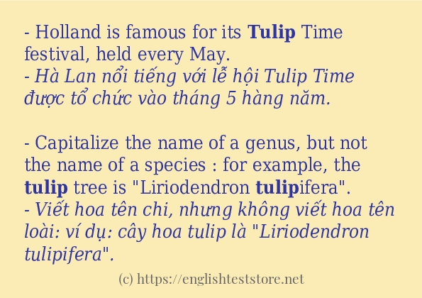 tulip sử dụng như thế nào?