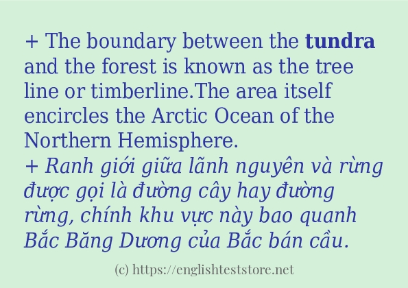 tundra câu ví dụ và cách sử dụng