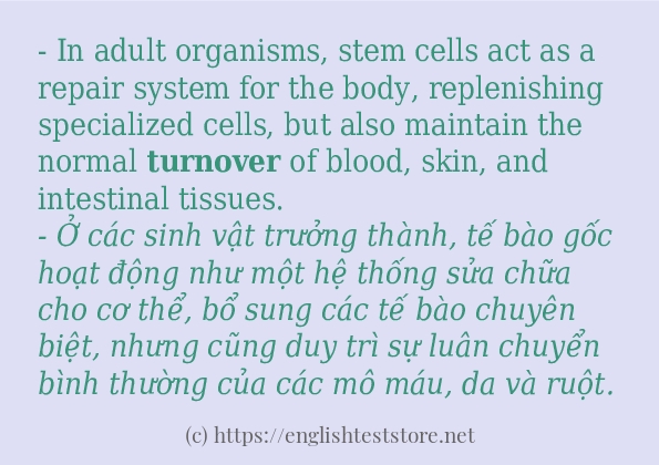 turnover cách dùng trong câu và ví dụ turnover cách dùng trong câu và ví dụ
