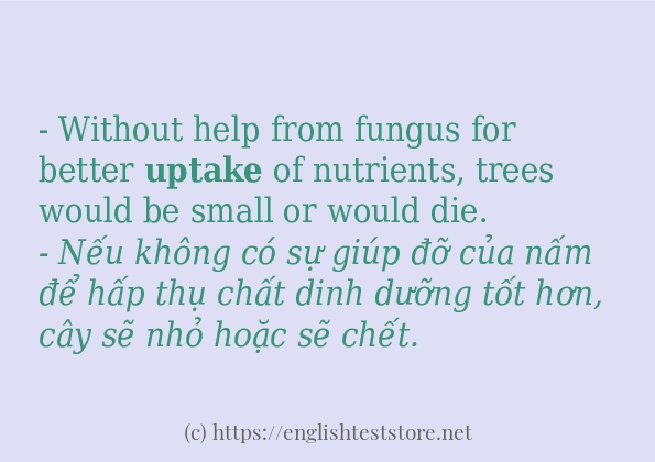 uptake có bao nhiêu cách dùng?