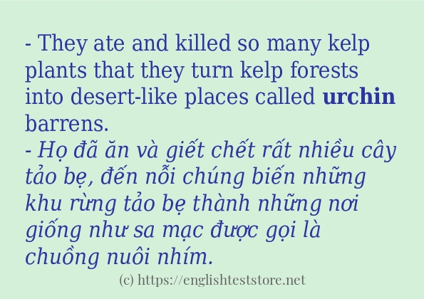 urchin có bao nhiêu cách sử dụng?