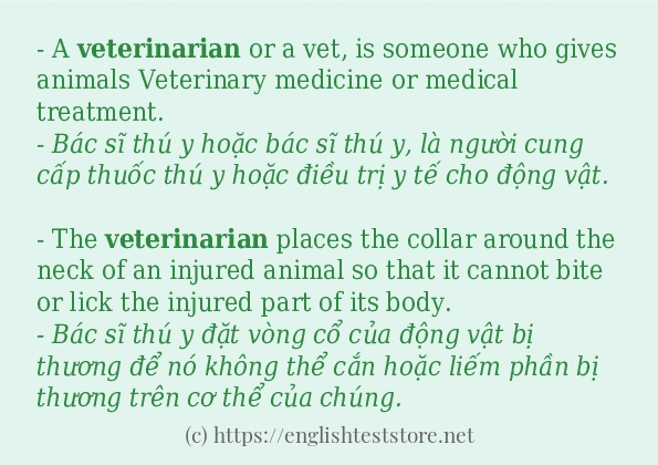 veterinarian cách dùng và ví dụ trong câu