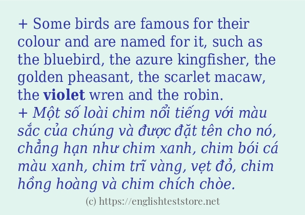 violet có bao nhiêu cách sử dụng?