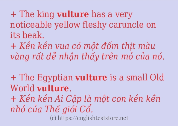 vulture cách dùng và ví dụ trong câu