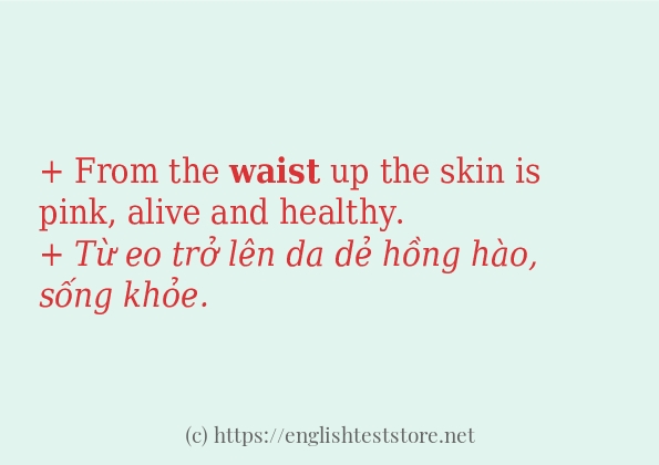 waist sử dụng như thế nào? waist sử dụng như thế nào?