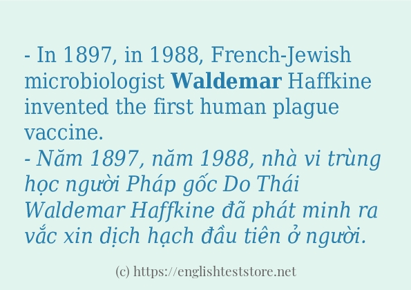 waldemar cách dùng và ví dụ trong câu