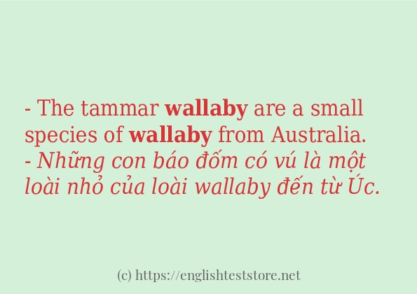 wallaby ví dụ cách dùng trong câu