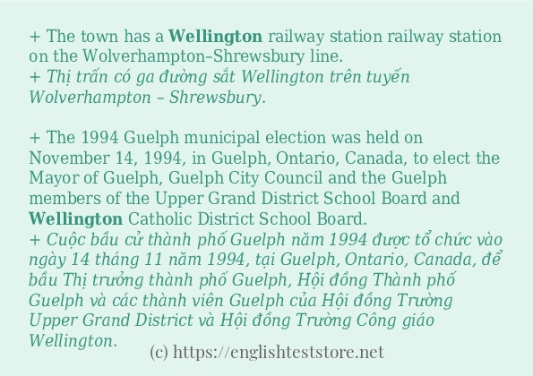 wellington câu ví dụ và cách dùng wellington câu ví dụ và cách dùng
